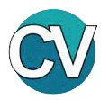 cvpiedrastone.com